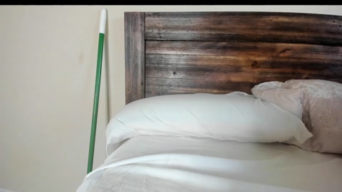 bigdicktrannynicole  02-08-2022